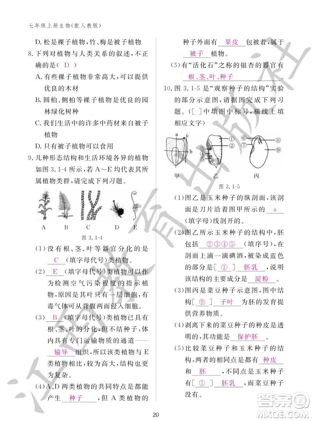 江西教育出版社2023年秋生物作業(yè)本七年級(jí)上冊(cè)人教版參考答案