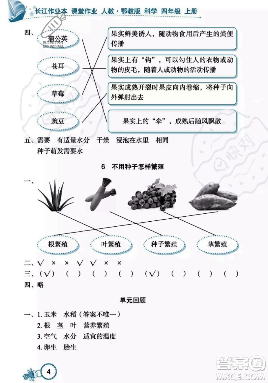 湖北教育出版社2023年秋長(zhǎng)江作業(yè)本課堂作業(yè)四年級(jí)科學(xué)上冊(cè)人教鄂教版答案