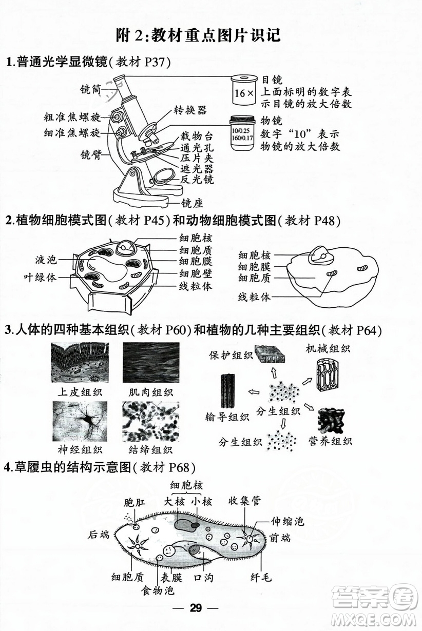 吉林教育出版社2023年秋狀元成才路創(chuàng)優(yōu)作業(yè)七年級生物上冊人教版答案