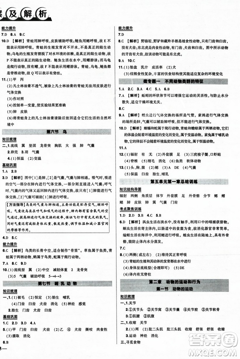 吉林教育出版社2023年秋狀元成才路創(chuàng)優(yōu)作業(yè)八年級生物上冊人教版答案