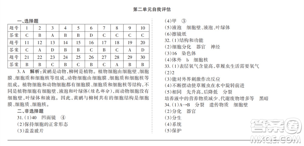 學習方法報2023-2024學年七年級生物上冊人教廣東版①-③期小報參考答案