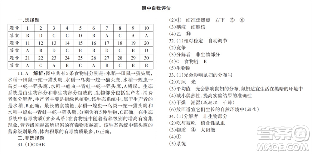 學習方法報2023-2024學年七年級生物上冊人教廣東版①-③期小報參考答案