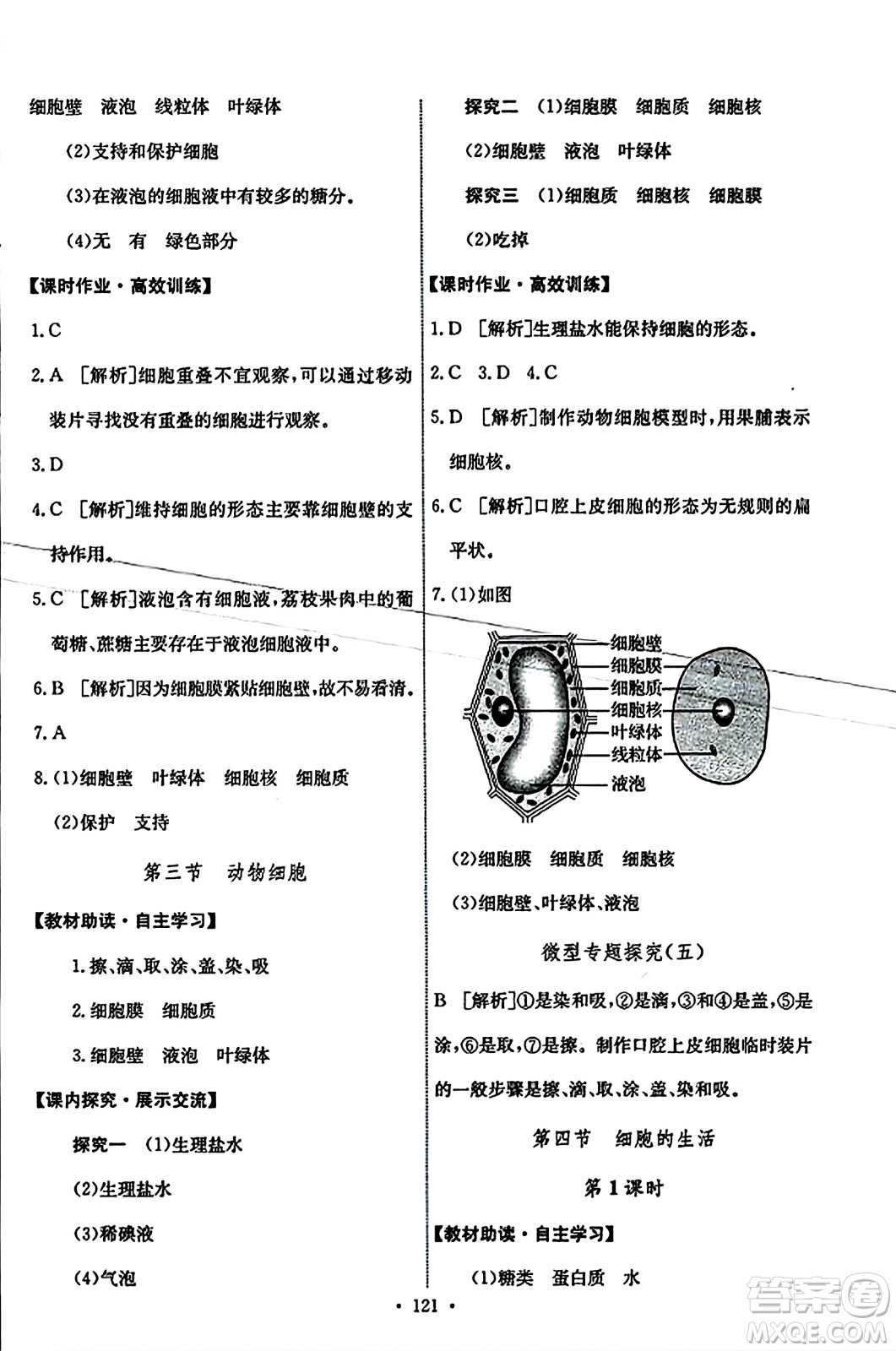 人民教育出版社2023年秋能力培養(yǎng)與測試七年級生物上冊人教版答案