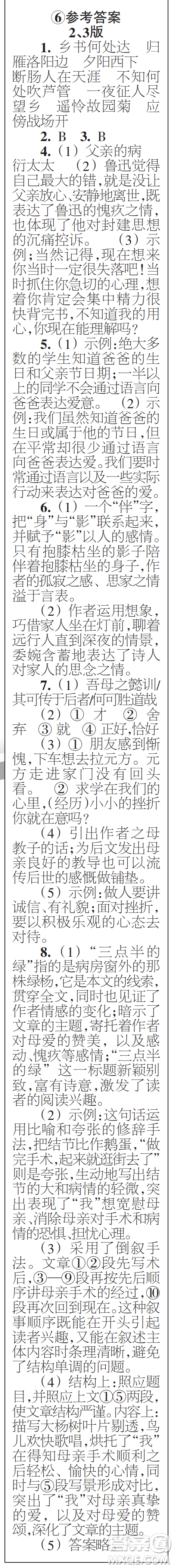 時(shí)代學(xué)習(xí)報(bào)初中版2023年秋七年級(jí)語(yǔ)文上冊(cè)5-8期參考答案