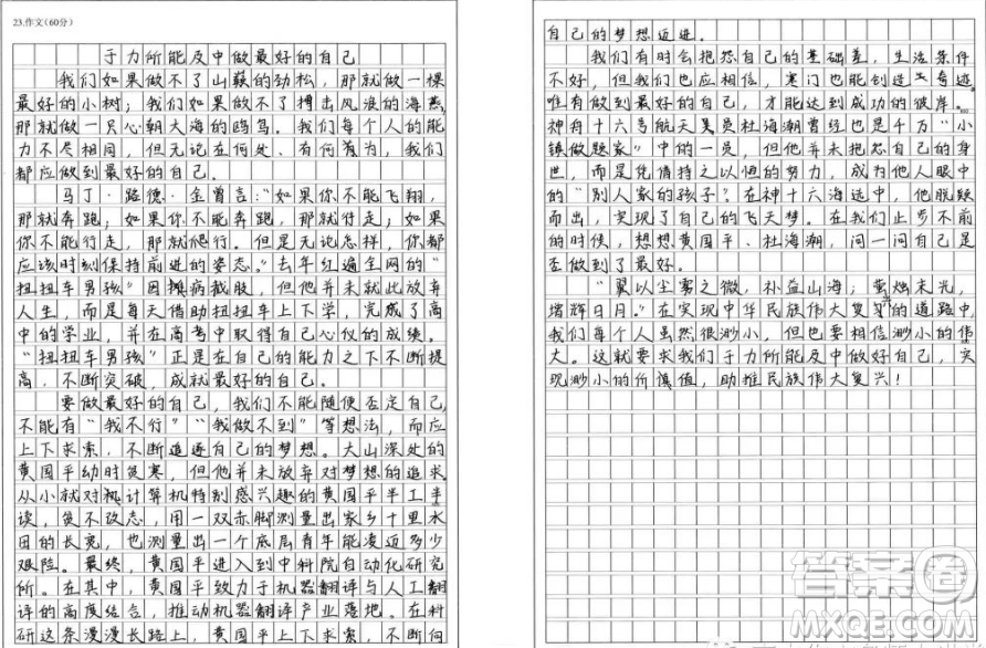 如果你當(dāng)不成山巔的一棵勁松材料作文800字