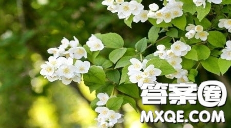 成長(zhǎng)從___開始為題作文600字 關(guān)于成長(zhǎng)從___開始為題的作文600字