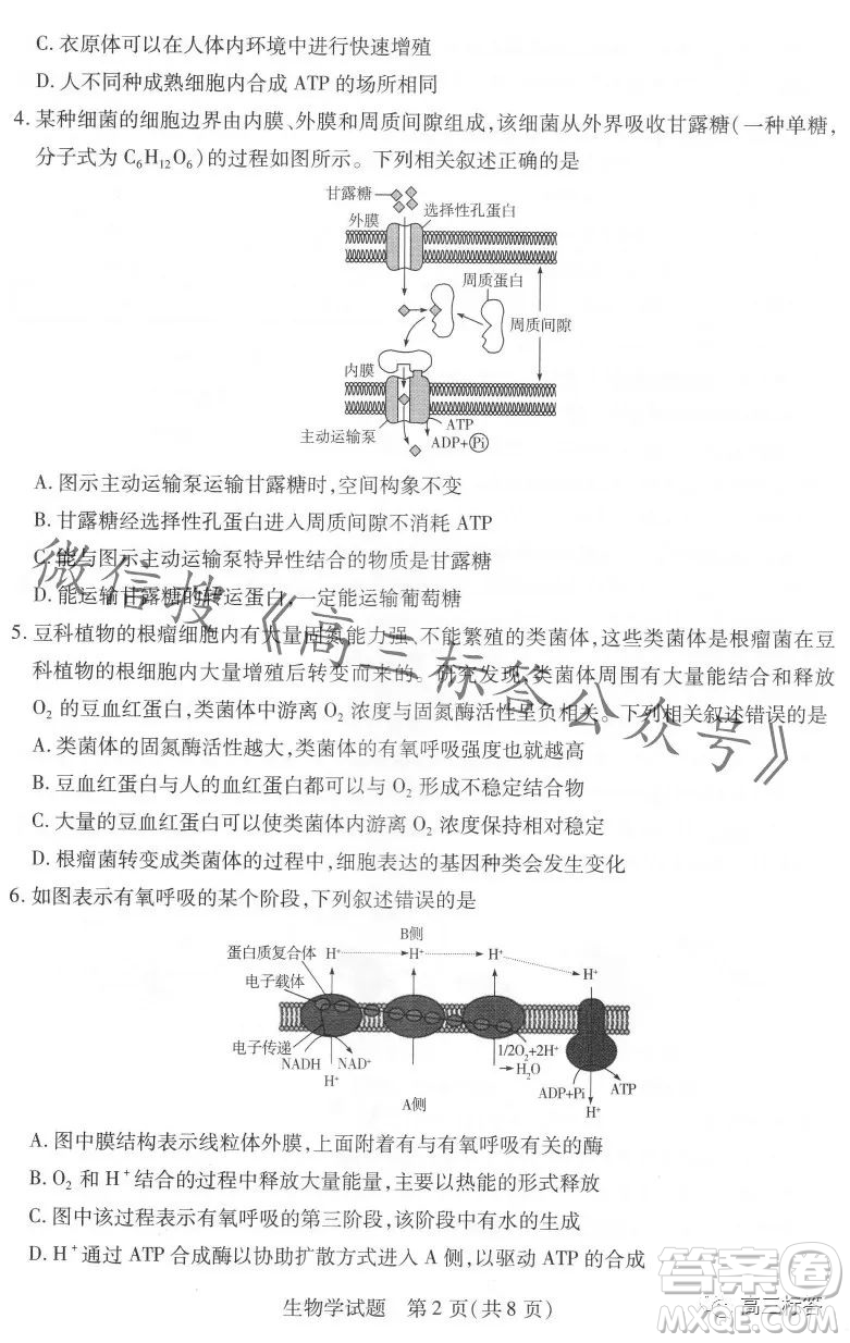 皖豫名校聯(lián)盟2024屆高中畢業(yè)班第一次考試生物學(xué)試卷答案