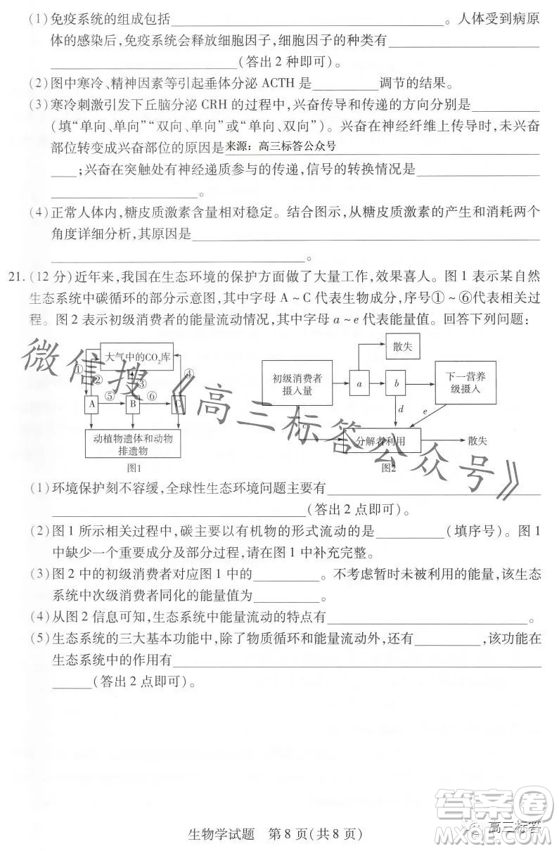 皖豫名校聯(lián)盟2024屆高中畢業(yè)班第一次考試生物學(xué)試卷答案