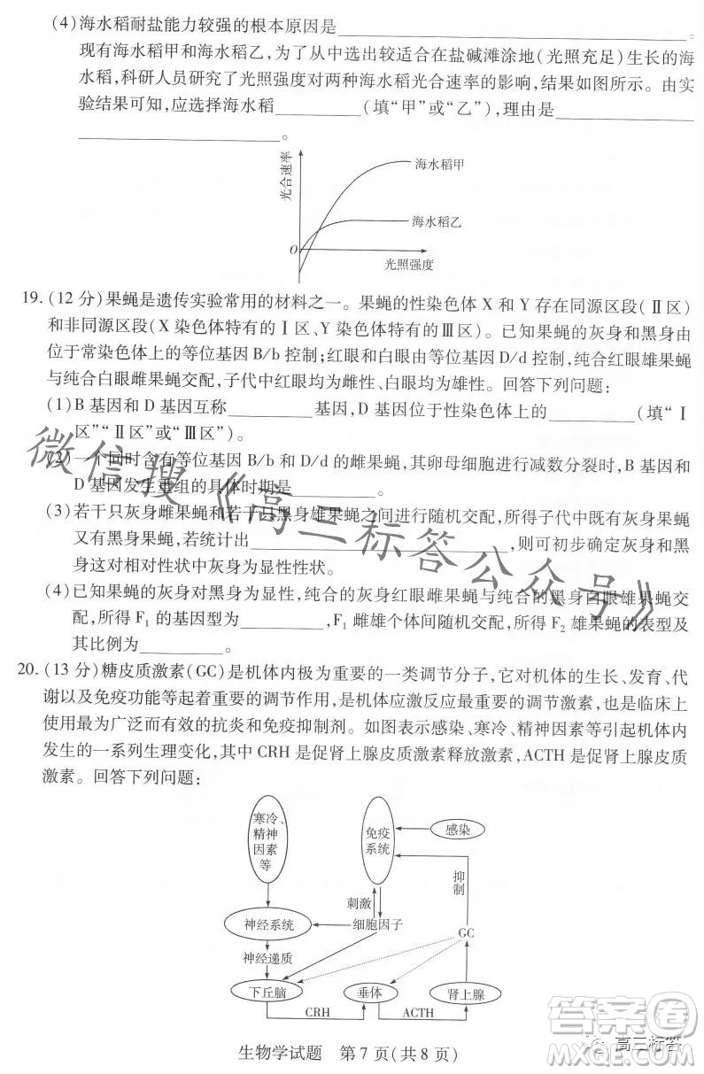 皖豫名校聯(lián)盟2024屆高中畢業(yè)班第一次考試生物學(xué)試卷答案