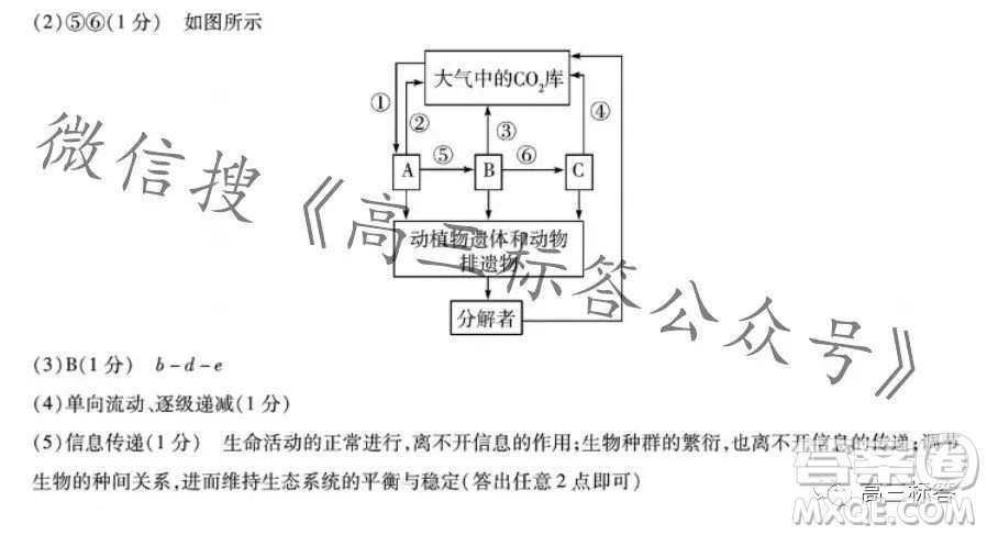 皖豫名校聯(lián)盟2024屆高中畢業(yè)班第一次考試生物學(xué)試卷答案