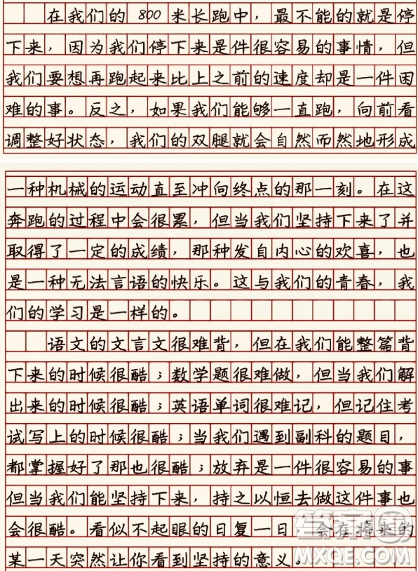 努力的日子會發(fā)光主題作文600字 關(guān)于努力的日子會發(fā)光的主題作文600字