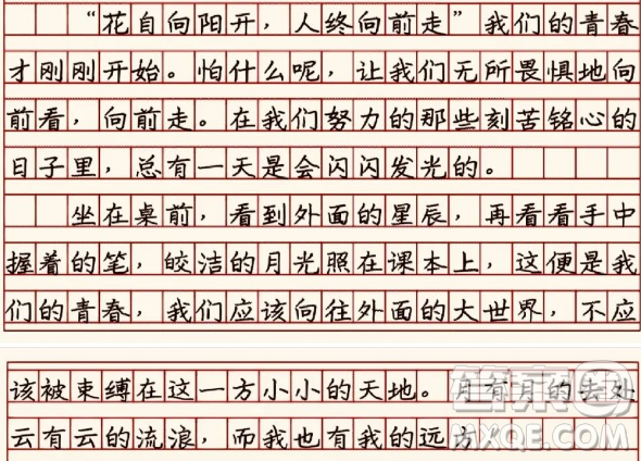 努力的日子會發(fā)光主題作文600字 關(guān)于努力的日子會發(fā)光的主題作文600字