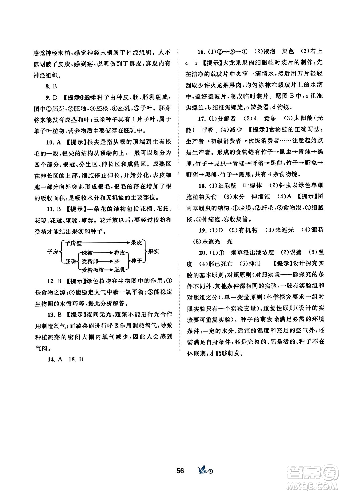 廣西師范大學(xué)出版社2023年秋新課程學(xué)習(xí)與測評單元雙測七年級生物上冊人教版A版答案