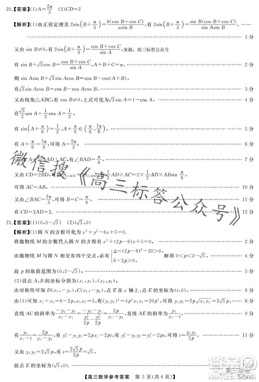 金科大聯(lián)考2024屆高三10月質(zhì)量檢測數(shù)學(xué)試卷答案