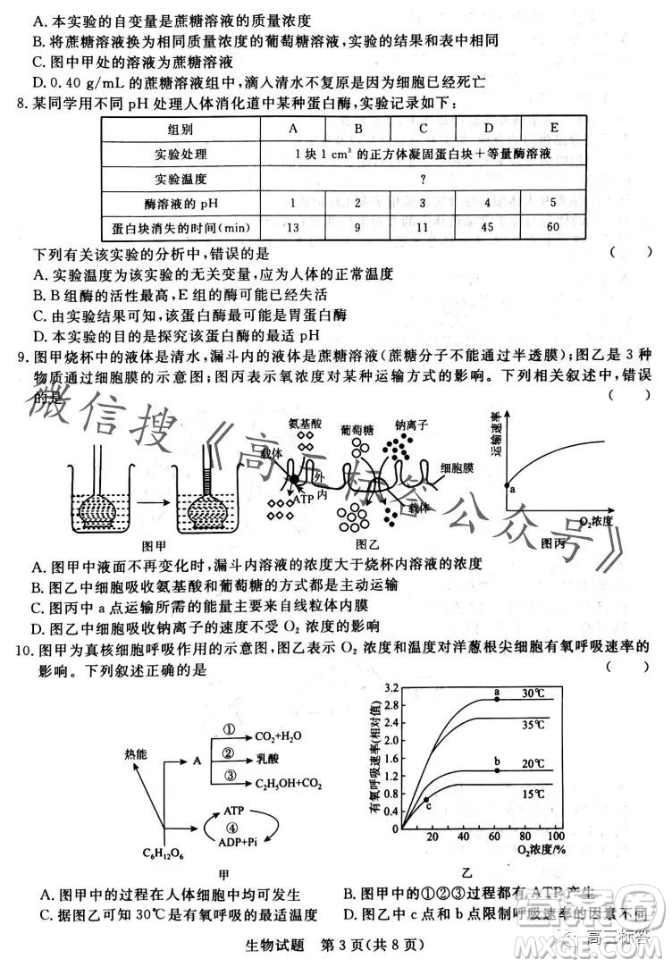 2024屆普通高等學校招生全國統(tǒng)一考試青桐鳴高三10月大聯(lián)考生物試卷答案