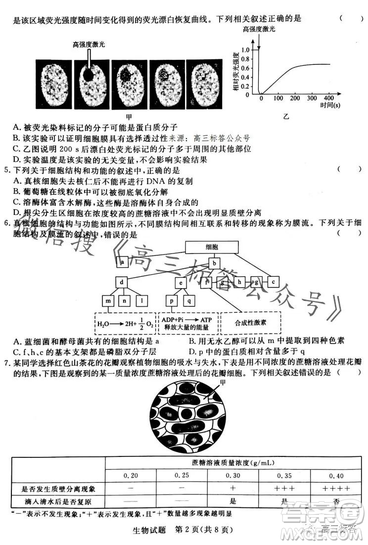 2024屆普通高等學校招生全國統(tǒng)一考試青桐鳴高三10月大聯(lián)考生物試卷答案