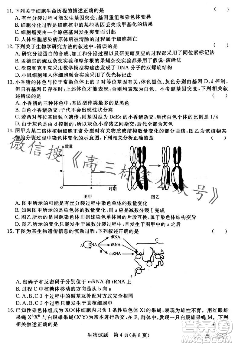 2024屆普通高等學校招生全國統(tǒng)一考試青桐鳴高三10月大聯(lián)考生物試卷答案