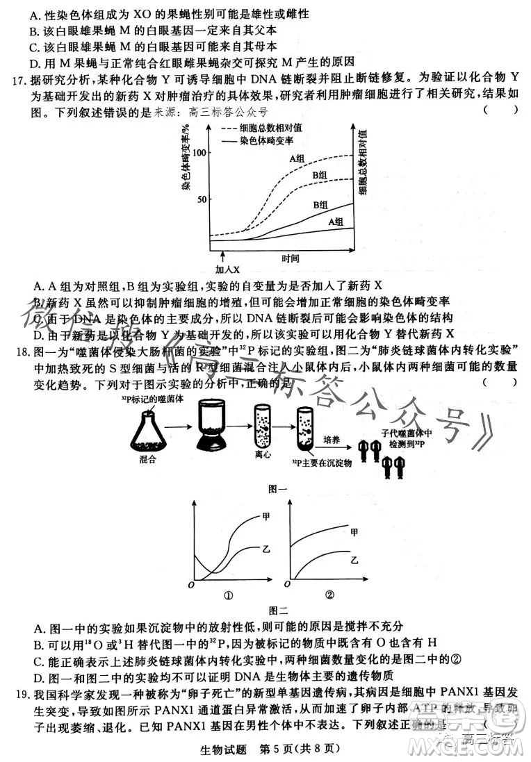 2024屆普通高等學校招生全國統(tǒng)一考試青桐鳴高三10月大聯(lián)考生物試卷答案