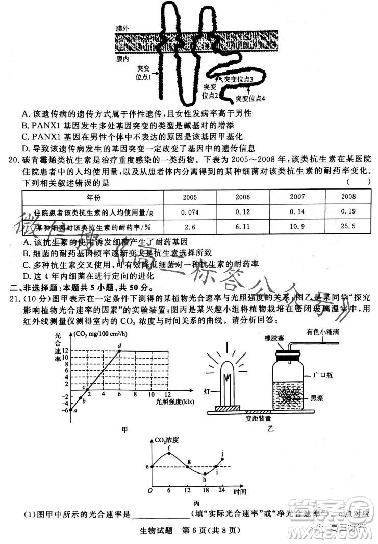 2024屆普通高等學校招生全國統(tǒng)一考試青桐鳴高三10月大聯(lián)考生物試卷答案