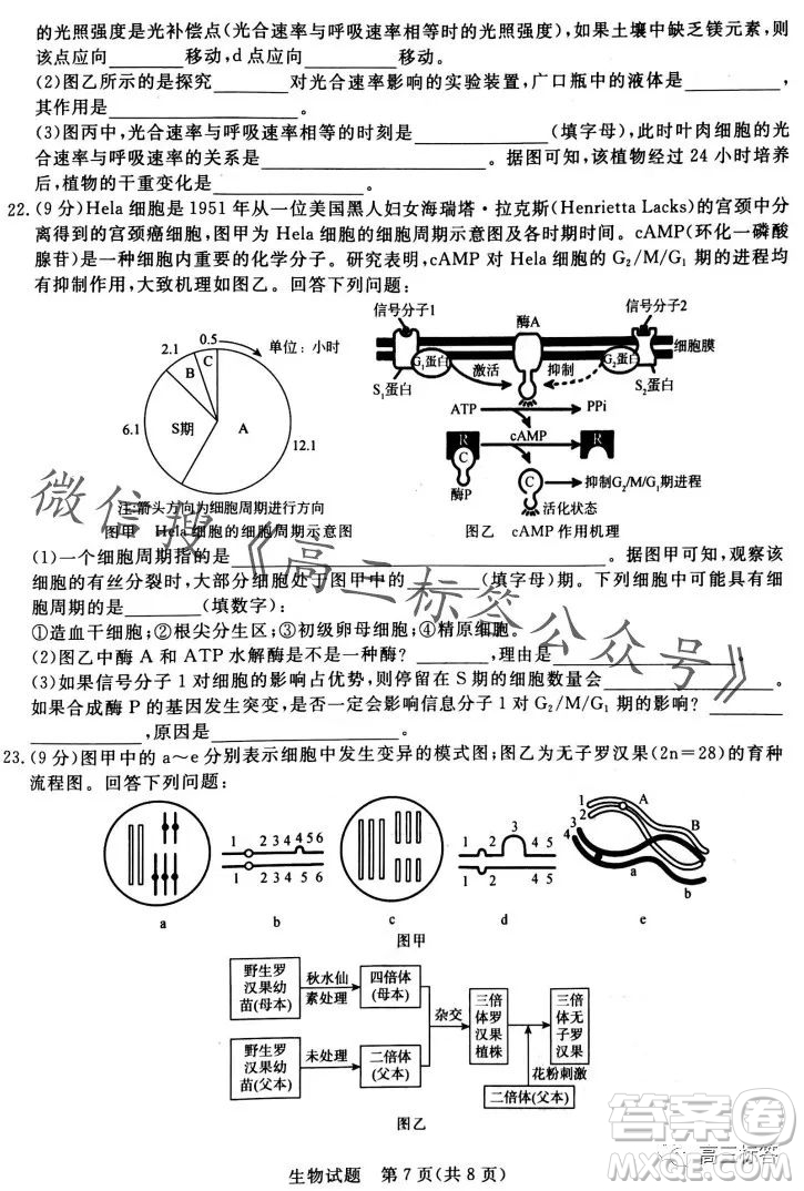 2024屆普通高等學校招生全國統(tǒng)一考試青桐鳴高三10月大聯(lián)考生物試卷答案