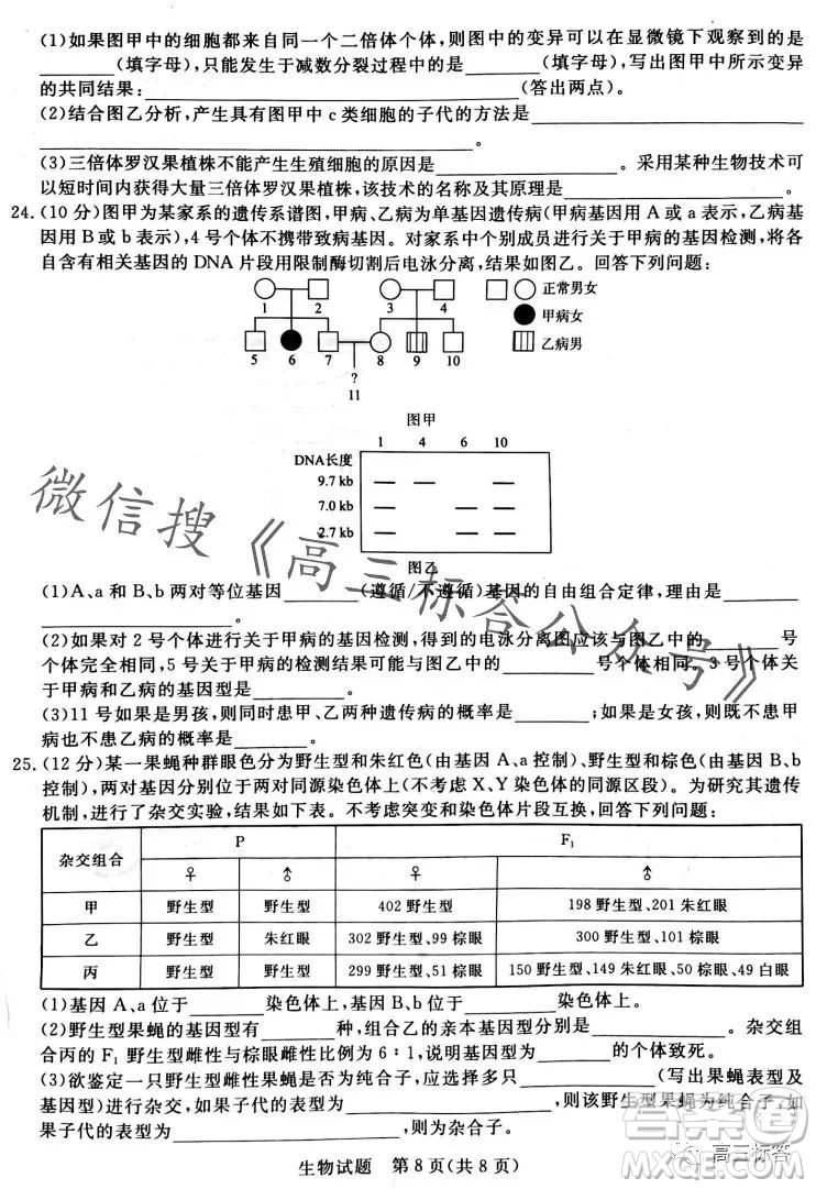 2024屆普通高等學校招生全國統(tǒng)一考試青桐鳴高三10月大聯(lián)考生物試卷答案