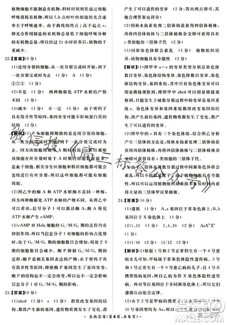 2024屆普通高等學校招生全國統(tǒng)一考試青桐鳴高三10月大聯(lián)考生物試卷答案