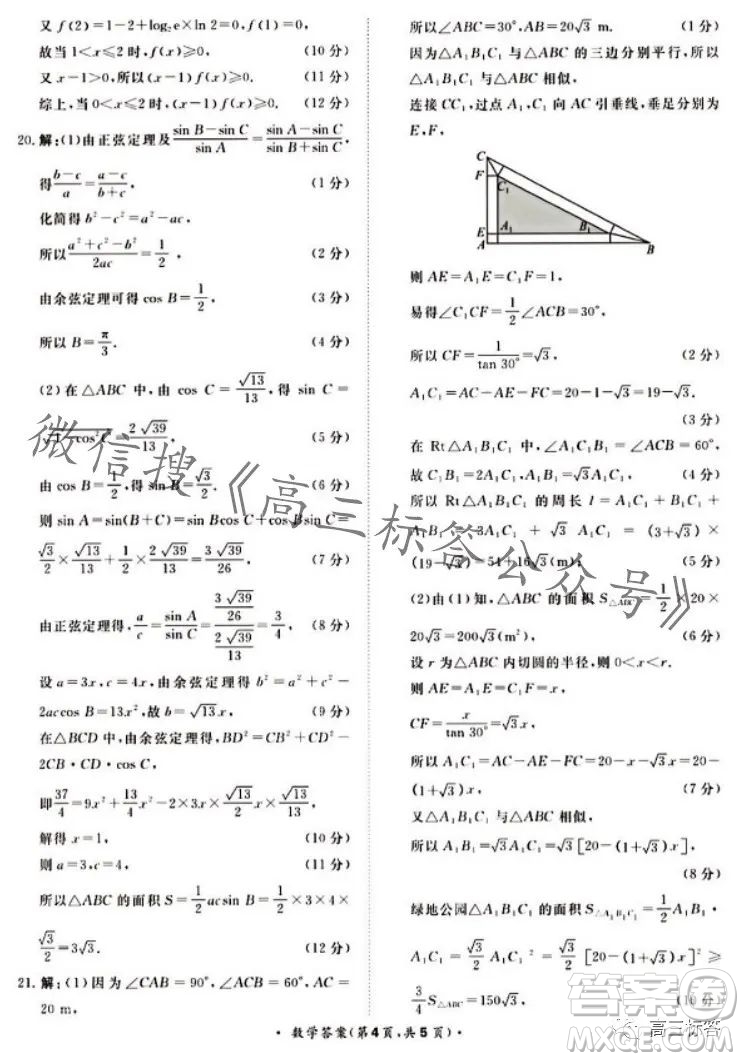 2024屆普通高等學(xué)校招生全國統(tǒng)一考試青桐鳴高三10月大聯(lián)考數(shù)學(xué)試卷答案