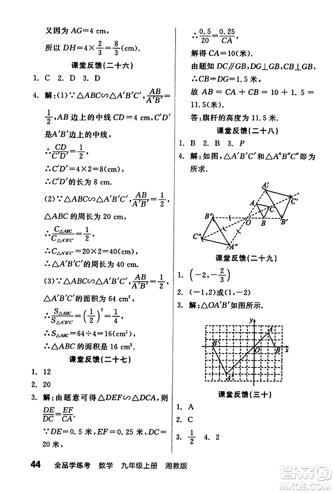 陽光出版社2023年秋全品學(xué)練考九年級數(shù)學(xué)上冊湘教版答案