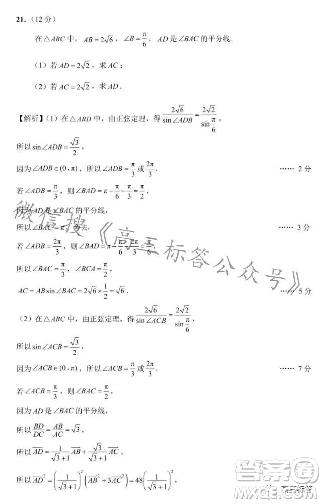 滄州市決勝新高考2024屆高三年級(jí)大聯(lián)考數(shù)學(xué)試卷答案