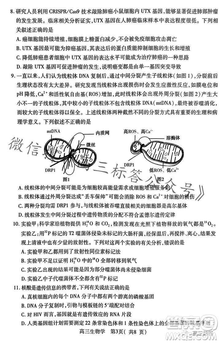 平許濟洛2023-2024學年高三第一次質量檢測生物試卷答案