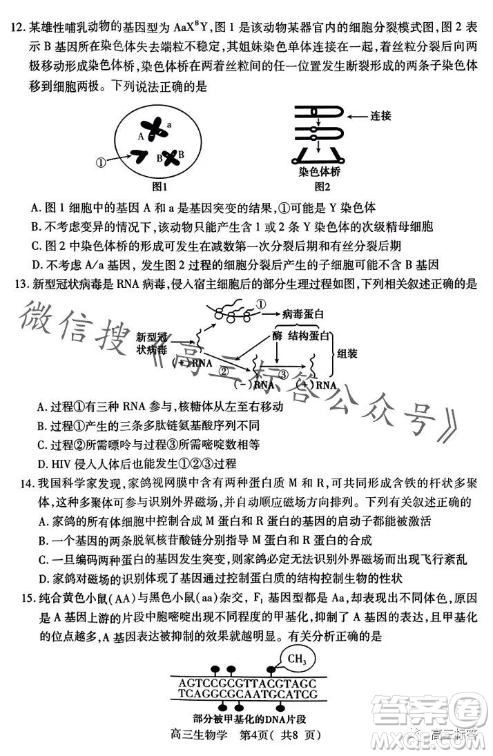 平許濟洛2023-2024學年高三第一次質量檢測生物試卷答案