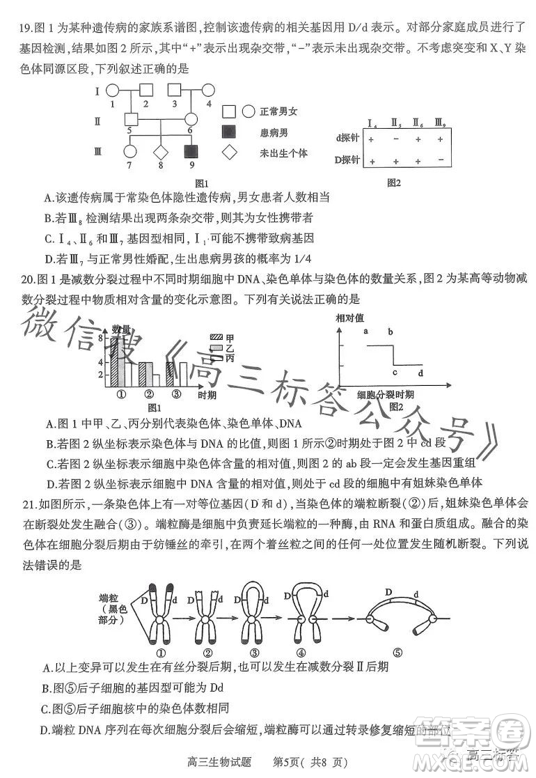 信陽2023-2024學年普通高中高三第一次教學質(zhì)量檢測生物試卷答案