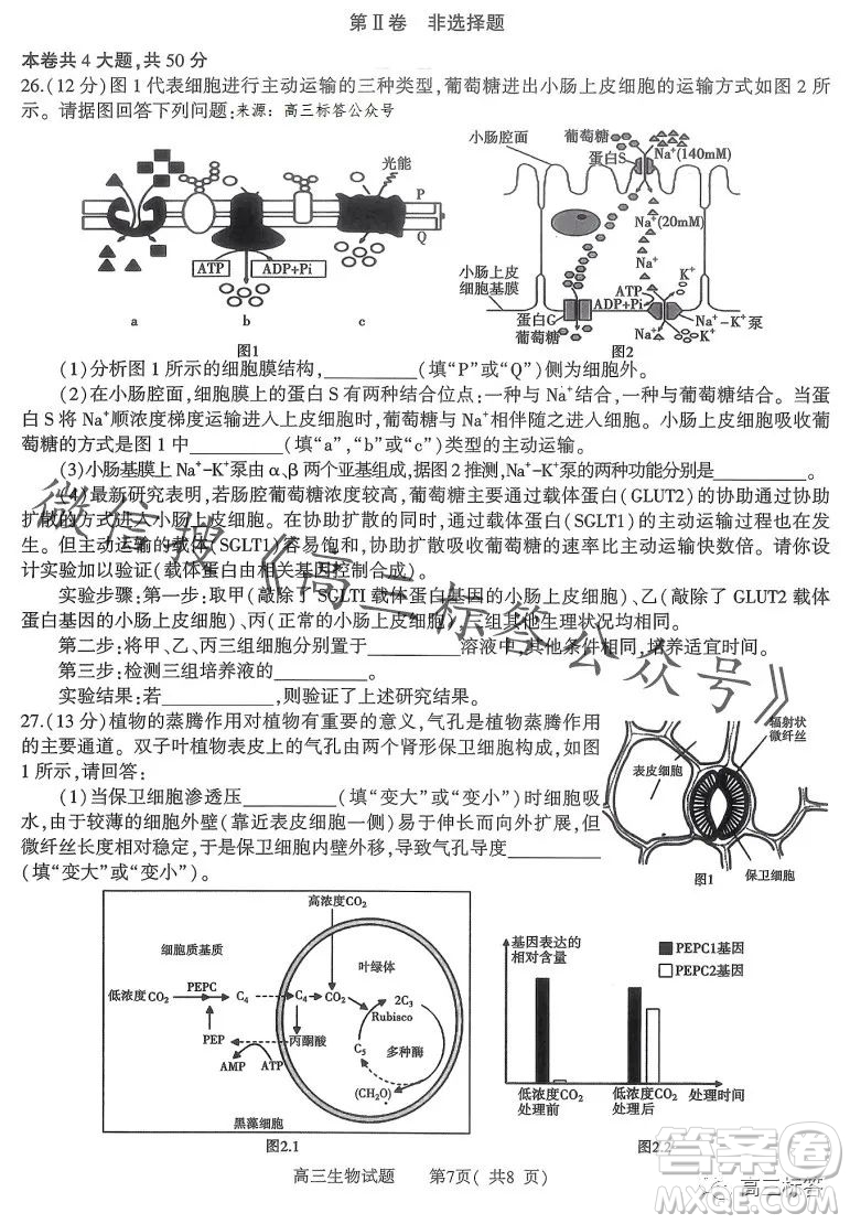 信陽2023-2024學年普通高中高三第一次教學質(zhì)量檢測生物試卷答案