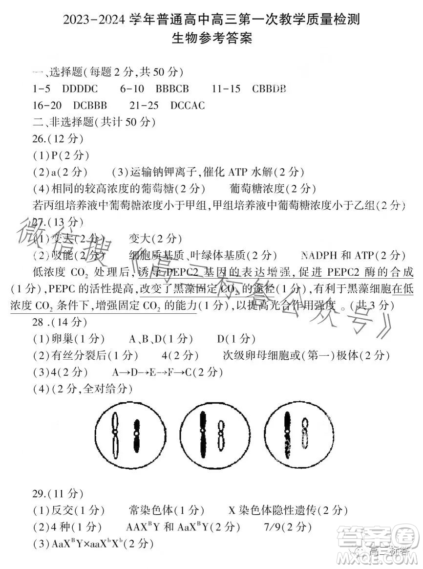 信陽2023-2024學年普通高中高三第一次教學質(zhì)量檢測生物試卷答案