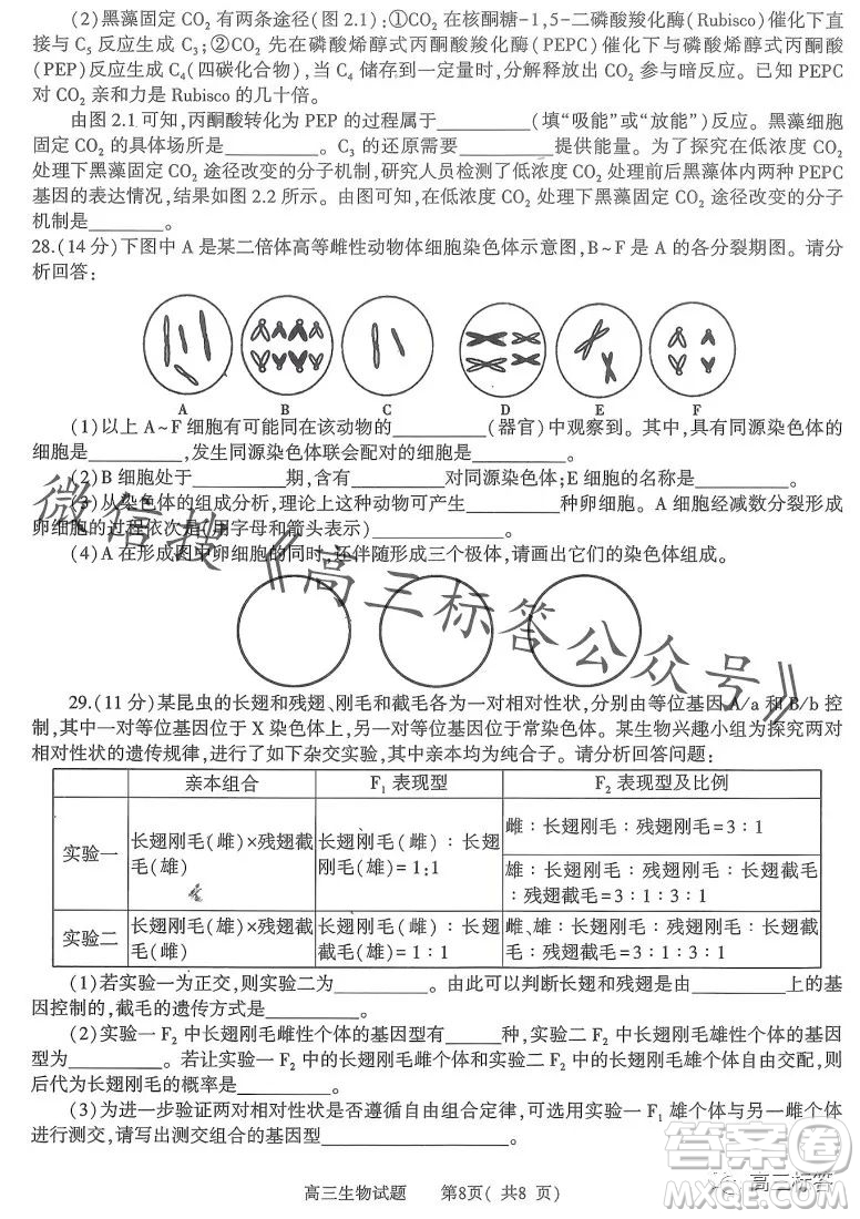 信陽2023-2024學年普通高中高三第一次教學質(zhì)量檢測生物試卷答案