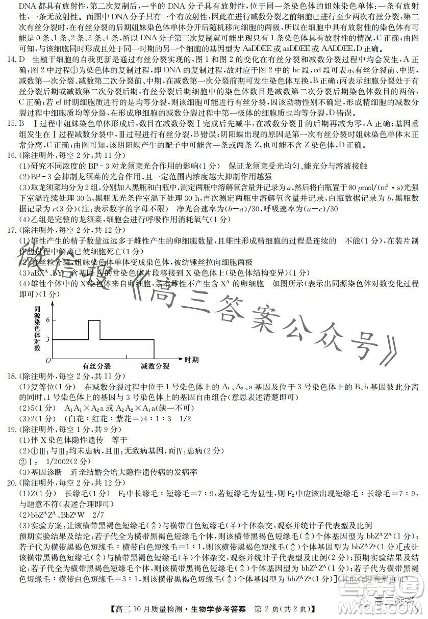 2024屆九師聯(lián)盟高三10月質(zhì)量檢測生物試卷答案