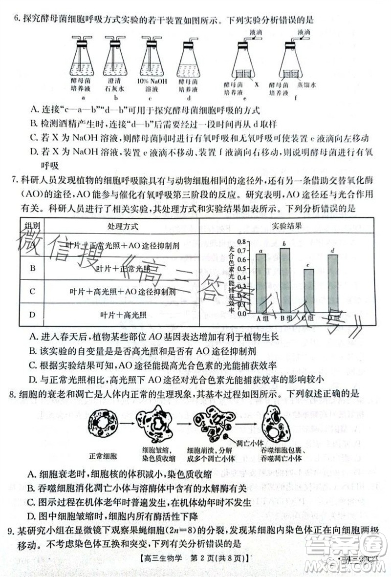 2024屆河南金太陽(yáng)高三10月26日24-97C聯(lián)考生物試卷答案