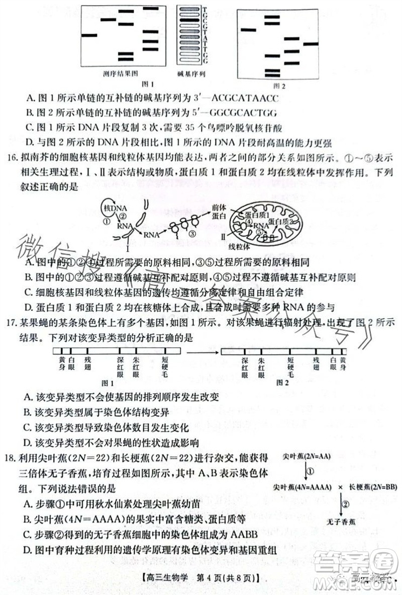 2024屆河南金太陽(yáng)高三10月26日24-97C聯(lián)考生物試卷答案