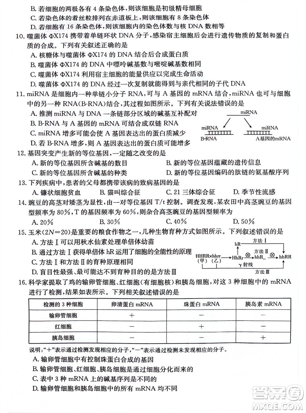 2024屆貴州金太陽高三10月26日24-111C聯(lián)考生物試卷答案