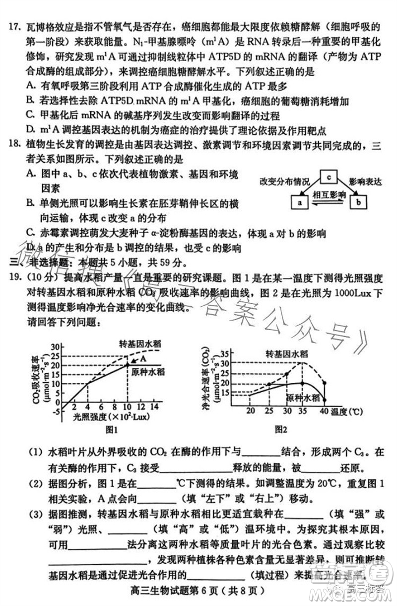 保定市2024屆高三10月份摸底考試生物試題答案