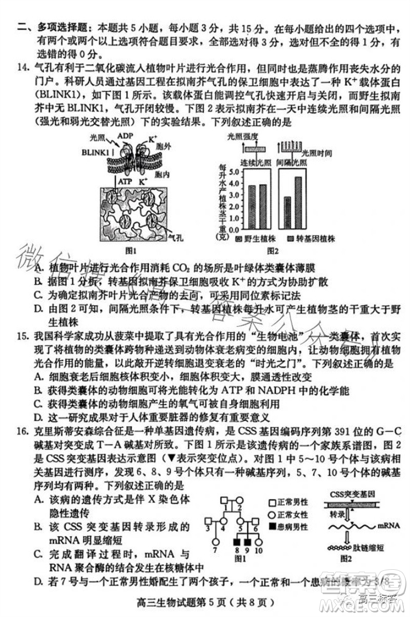 保定市2024屆高三10月份摸底考試生物試題答案