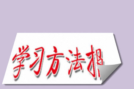 2023年秋學(xué)習(xí)方法報小學(xué)數(shù)學(xué)六年級上冊人教版期末專號參考答案