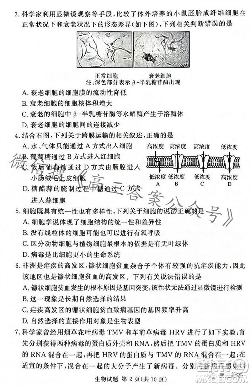 2023年11月湘豫名校聯(lián)考高三一輪復(fù)習(xí)診斷考試二生物試題答案