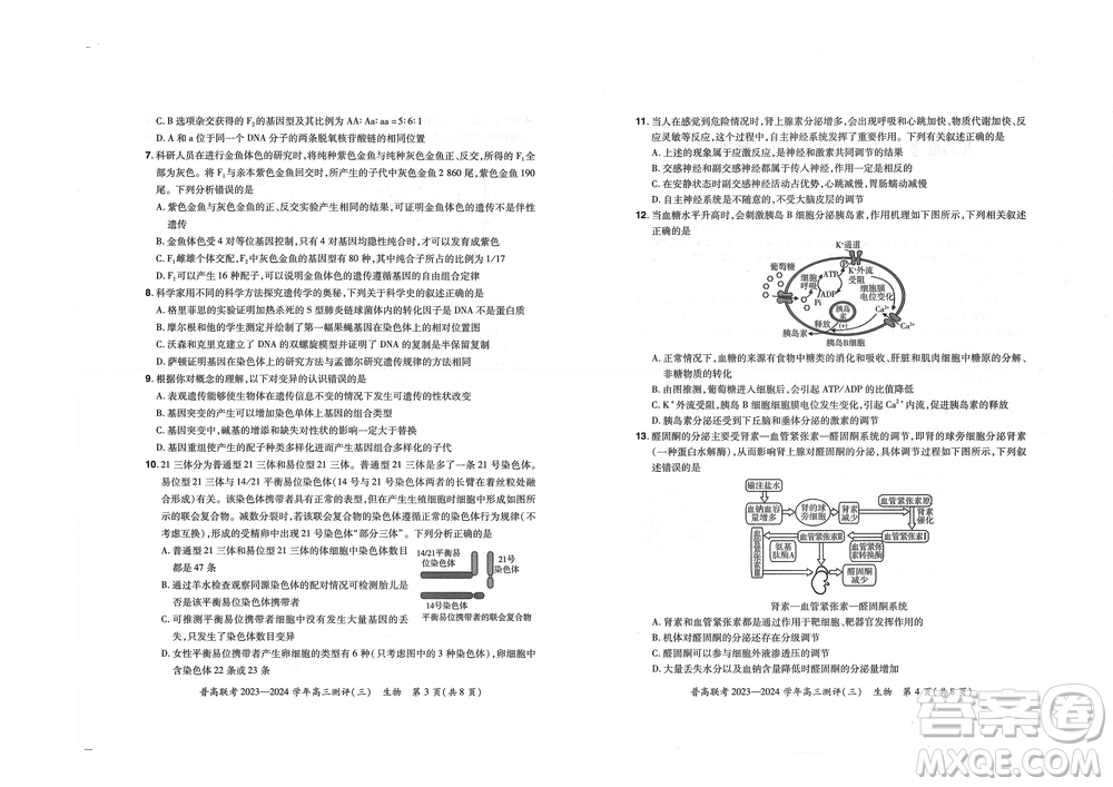 河南省普高聯(lián)考2023-2024學(xué)年高三測評三生物試卷答案