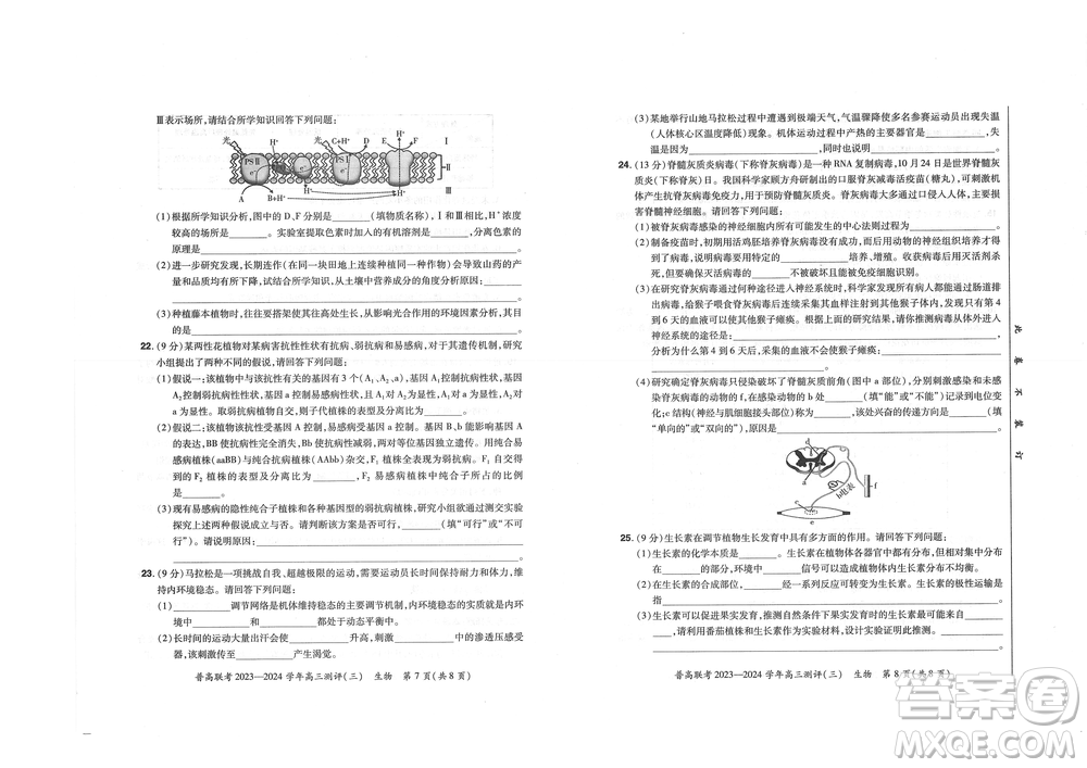 河南省普高聯(lián)考2023-2024學(xué)年高三測評三生物試卷答案