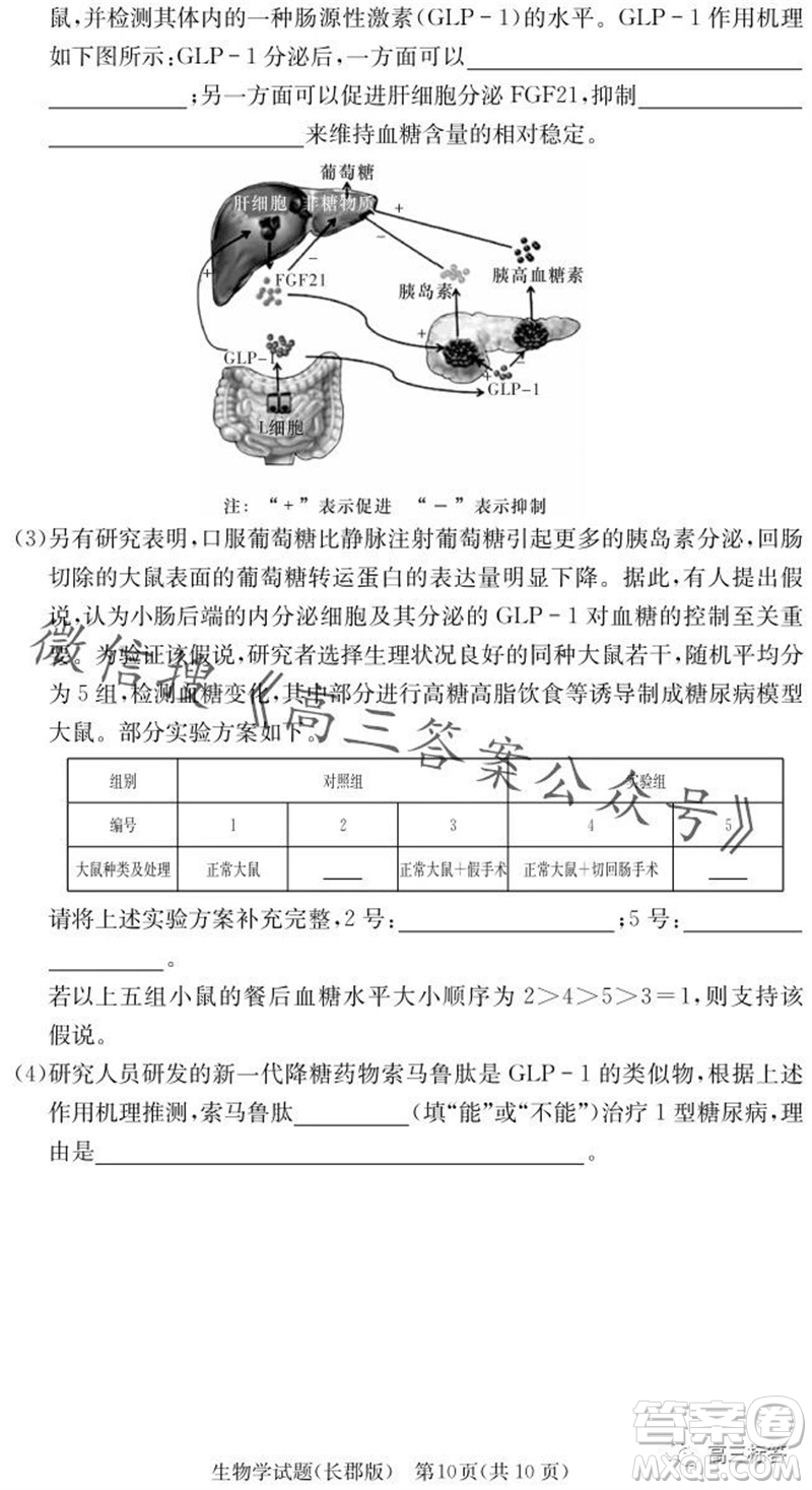 大聯(lián)考長郡中學2024屆高三上學期月考試卷三生物試題答案