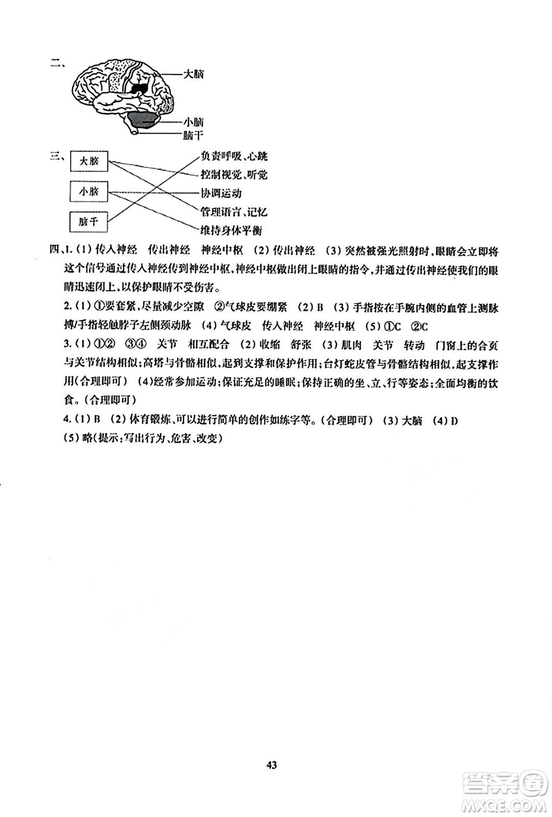 浙江教育出版社2023年秋學(xué)能評(píng)價(jià)五年級(jí)科學(xué)上冊(cè)教科版答案