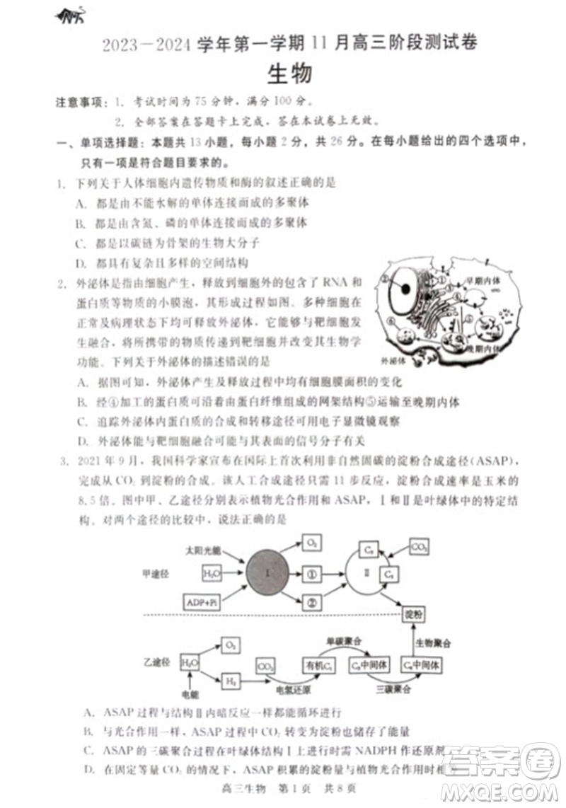 河北省新時代NT教育2024學(xué)年第一學(xué)期11月高三階段測試卷生物答案