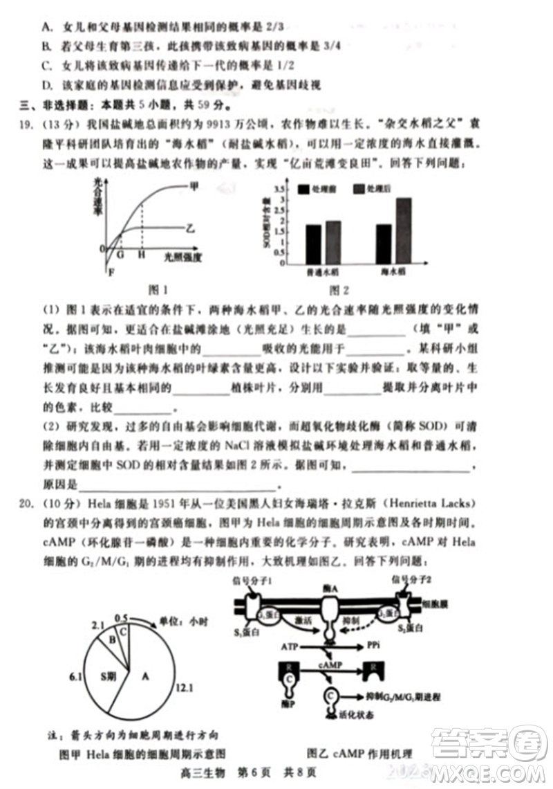 河北省新時代NT教育2024學(xué)年第一學(xué)期11月高三階段測試卷生物答案