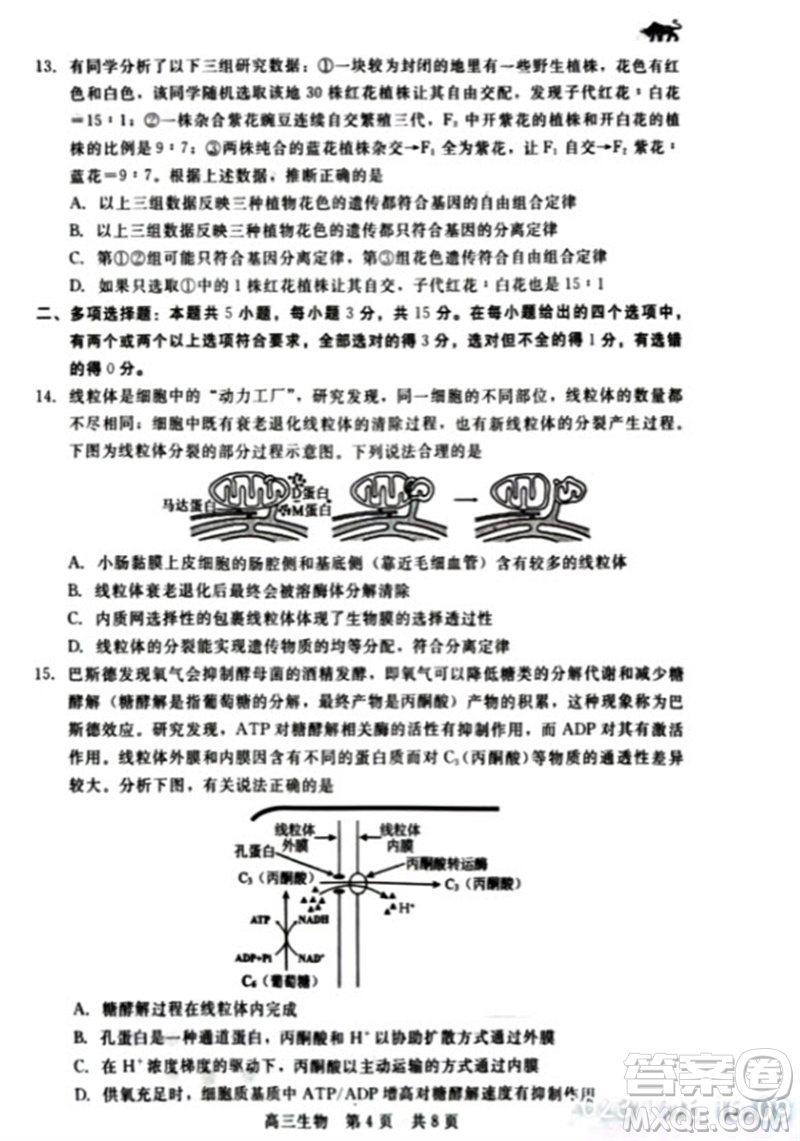 河北省新時代NT教育2024學(xué)年第一學(xué)期11月高三階段測試卷生物答案